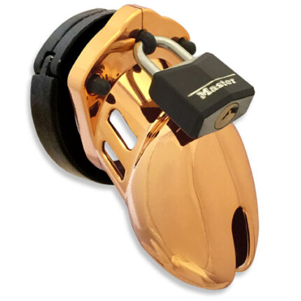 CB-X - CB6000S Kuisheidskooi - Gold